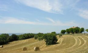 Photo of stunning view of goldens fields around the property | italyrealproperty.com